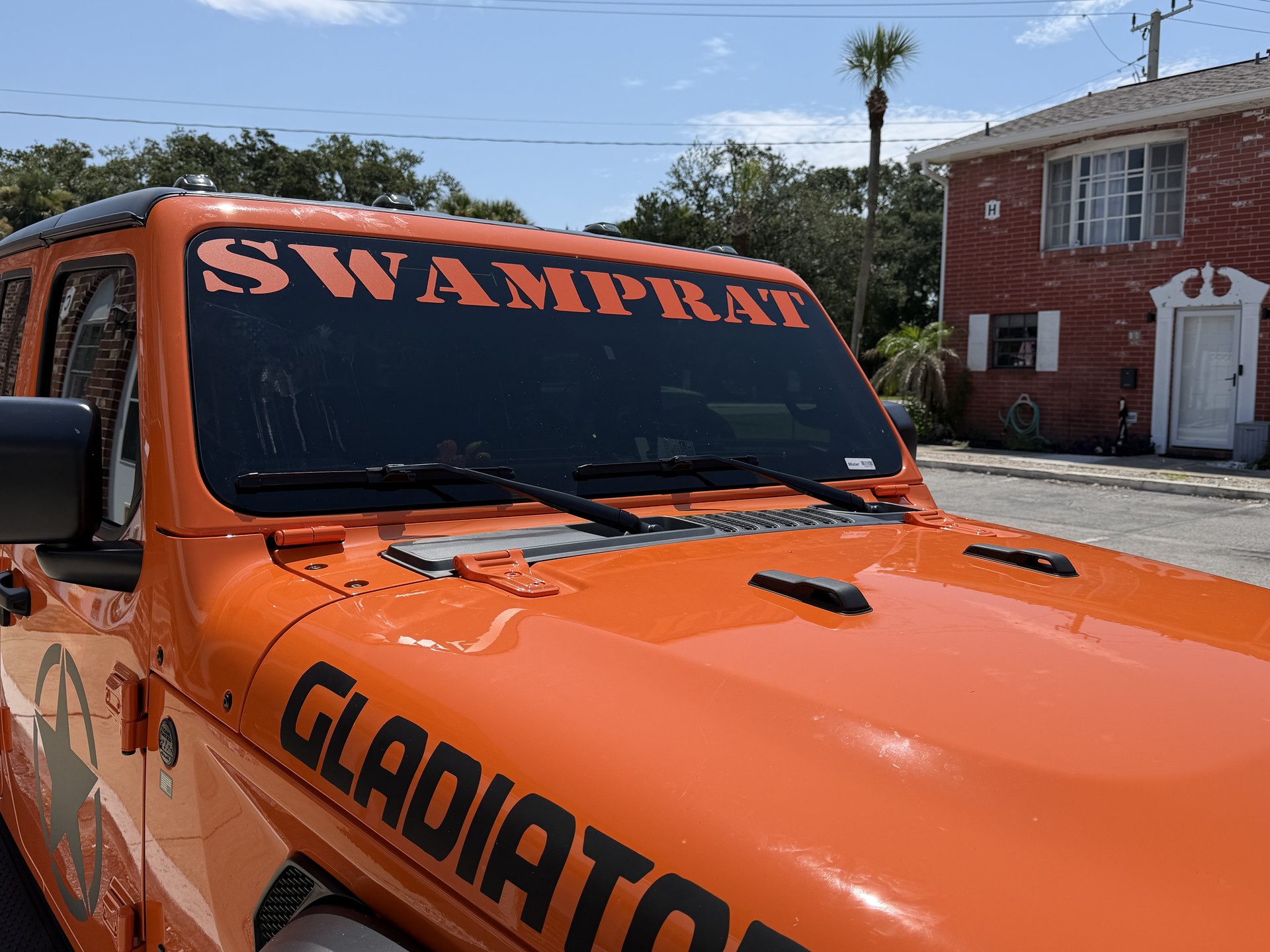 Recent project - 01-swamprat-vista-delantera.jpg