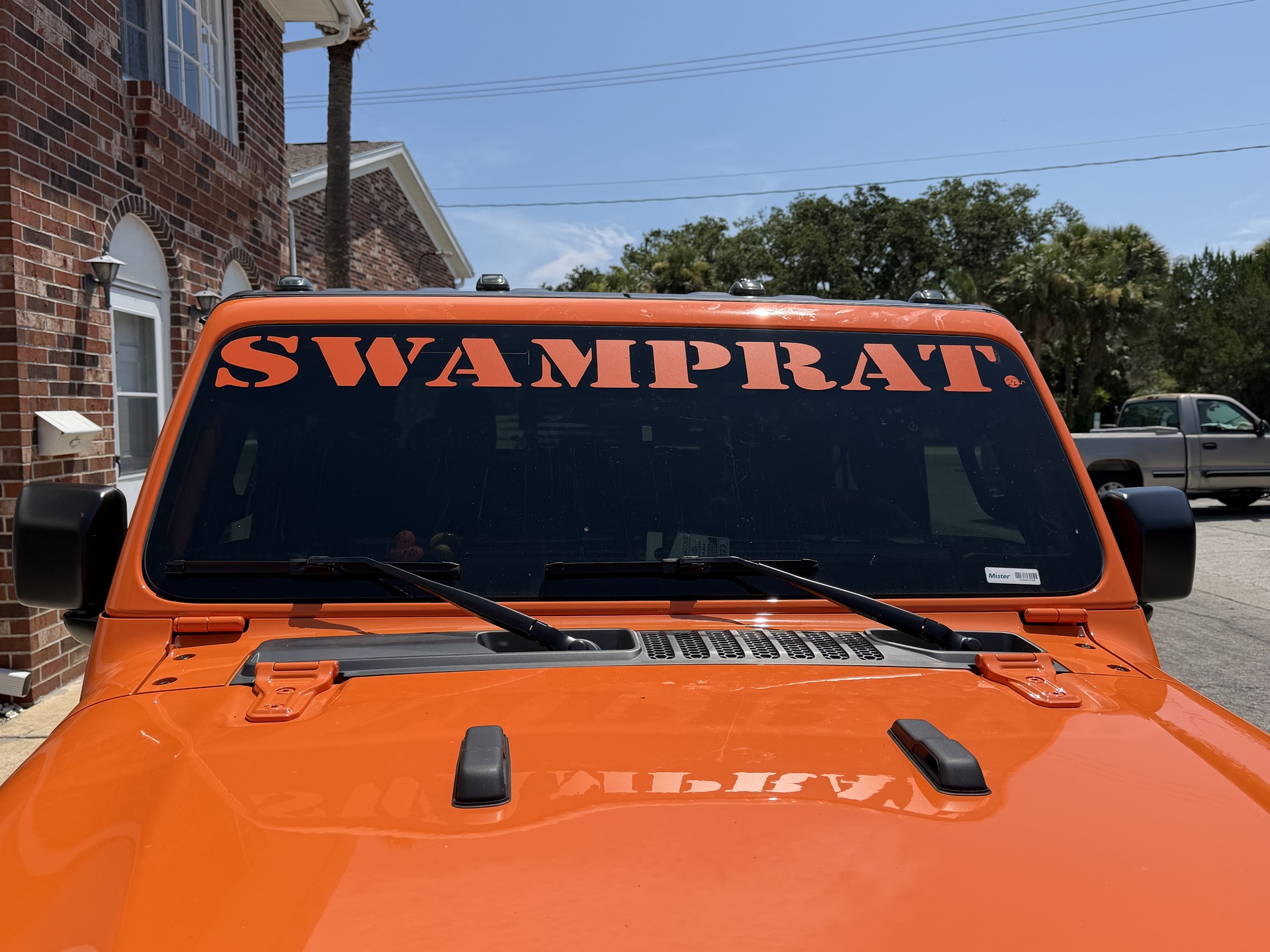 Recent project - 02-swamprat-frontal.jpg