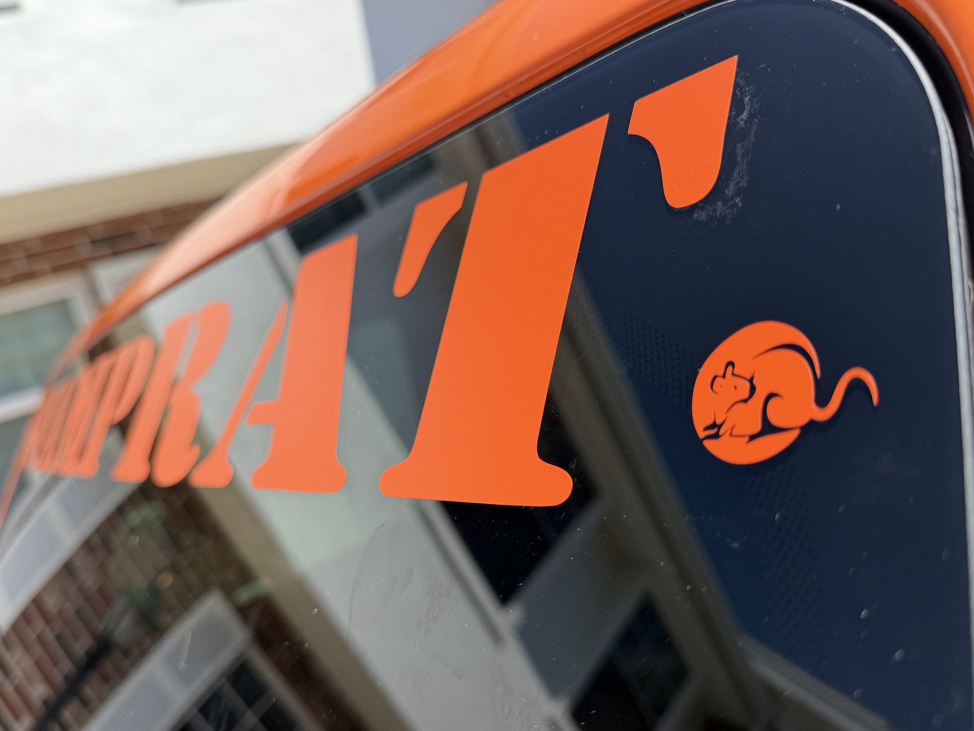 Recent project - 06-swamprat-detalle-rotulo.jpg
